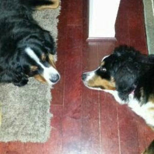 Meet your Posher, Joseph